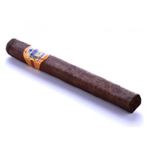 Bahia Gold Churchill