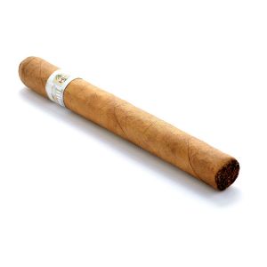 HC Series White Shade Grown Churchill