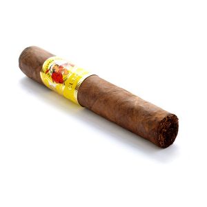 La Gloria Cubana Wavell