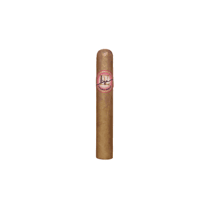 Liga IV Corona