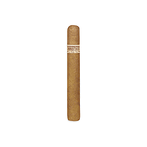 Rocky Patel Connecticut