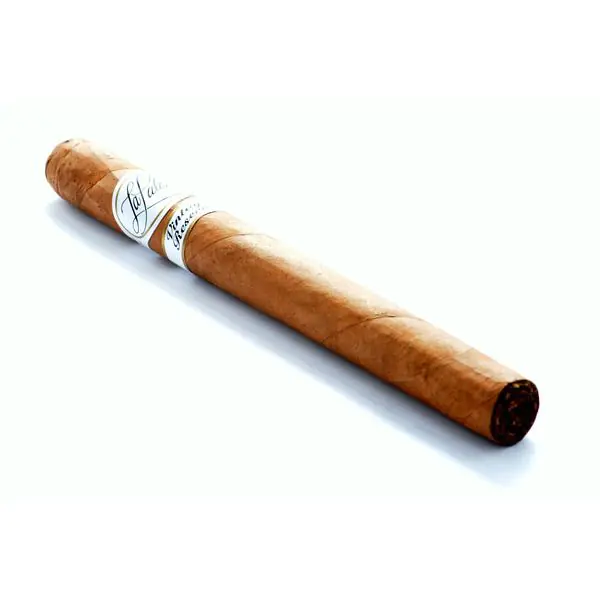 La Paloma cigar photograph 4