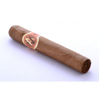 AVO XO Intermezzo
