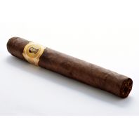 Bolivar Cofradia Toro