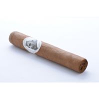 AVO Syncro Nicaragua Fogata