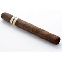 Cohiba Puro Dominicana Corona