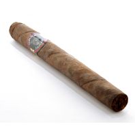 Dark Shark Churchill