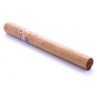 John Bull Prime Minister Presidente