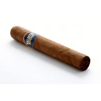 Lost and Found Malditos Bastardos H2000 Robusto