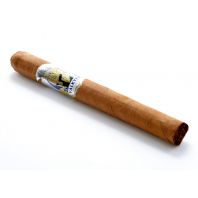 Man O' War Valkyrie Churchill
