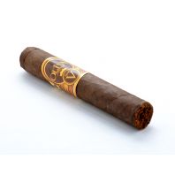 Oliva Serie 'V' Maduro Double Robusto