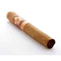 Room 101 Farce Connecticut Super Toro