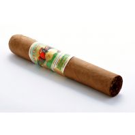 San Cristobal Elegancia Robusto