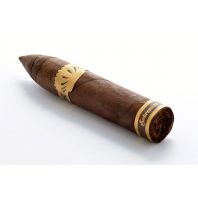 Sobremesa Short Torpedo