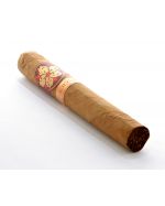 Room 101 Farce Connecticut Super Toro