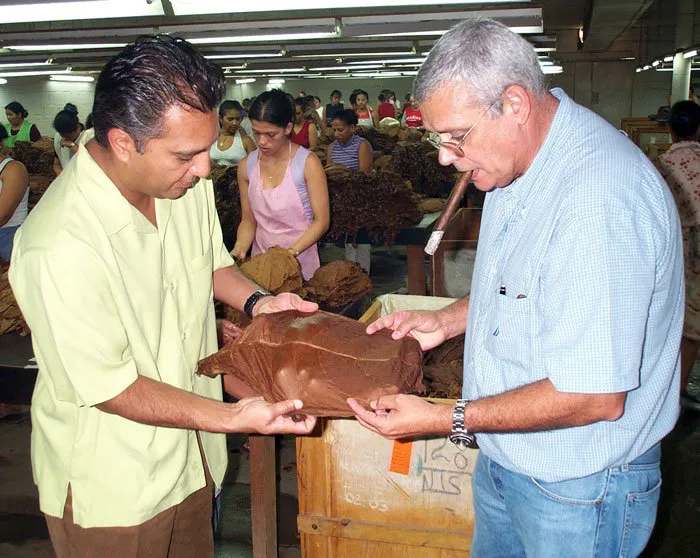 Inspecting tobacco on location