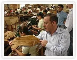 Examining Tobacco in the Factory